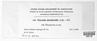 Image Associated With the Occurence